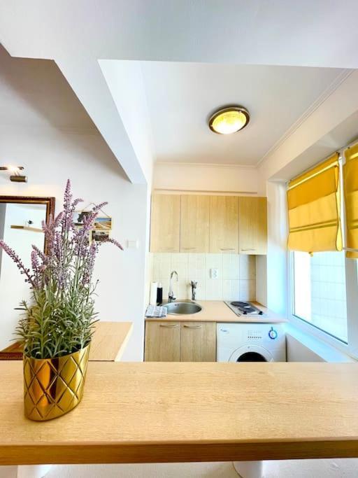 Boutique Apartment In The Bucharest City Center Bucareste Exterior foto